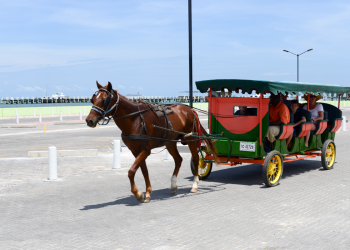 travel advisory san pedro belize