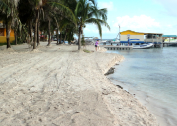 belize tourism logo